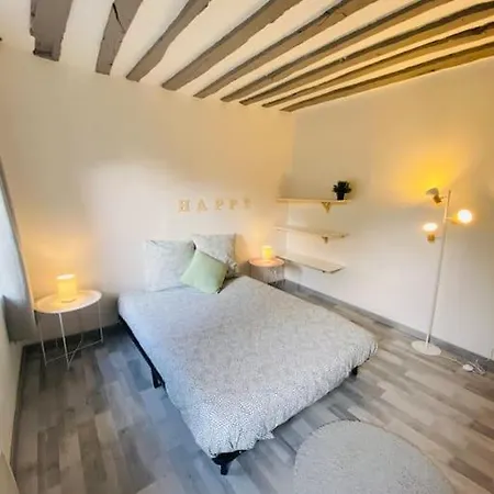 Maison Entiere: Les Celestins Apartment