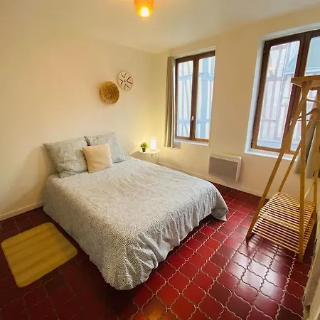 Apartment Maison Entiere: Les Celestins Rouen